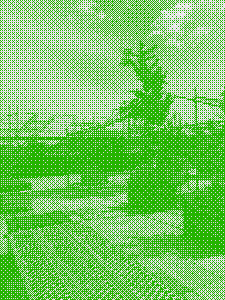 A photo of a hybrid mixed use roof with plants, seating, scaffolding and a certain concealed phone server.