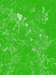 More scrub. The two images next to each other make it appear like this image continues the previous one.