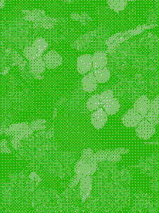 A green dithered picture of Hydrangea blossoms. Some of the petals are grouped in sets of four, forming a clover-like pattern.